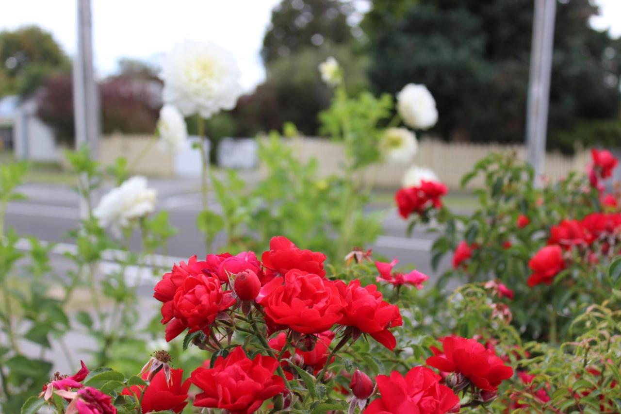 Bram'S Bach Villa Taupo Bagian luar foto